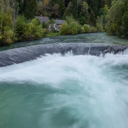 House Radovna Bled Dom wakacyjny *