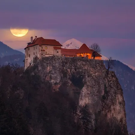 Holiday home House Radovna Bled *