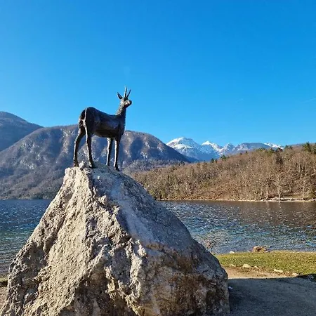 House Radovna Bled Zgornje Gorje