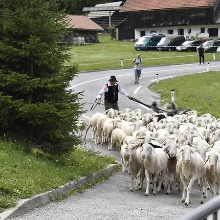 Holiday home House Radovna Bled