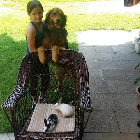 Holiday home House Radovna Bled *