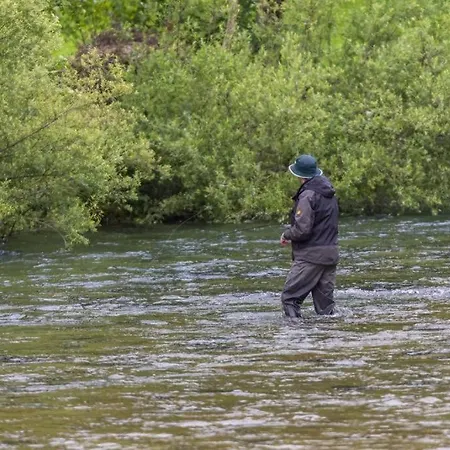 House Radovna Bled Holiday home