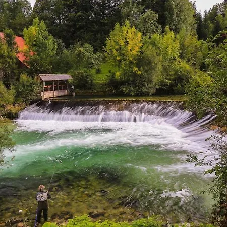 House Radovna Bled Dom wakacyjny