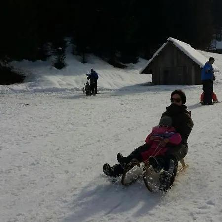 House Radovna Bled Holiday home *