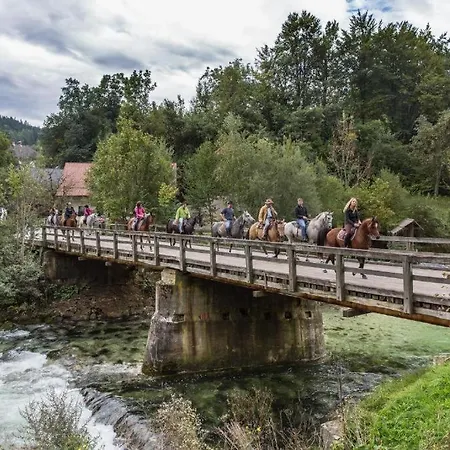 House Radovna Bled Zgornje Gorje