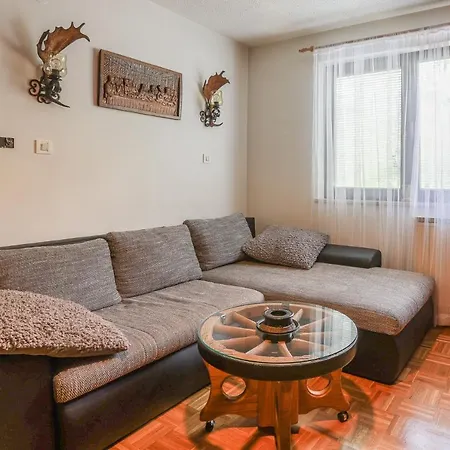 House Radovna Bled Holiday home *