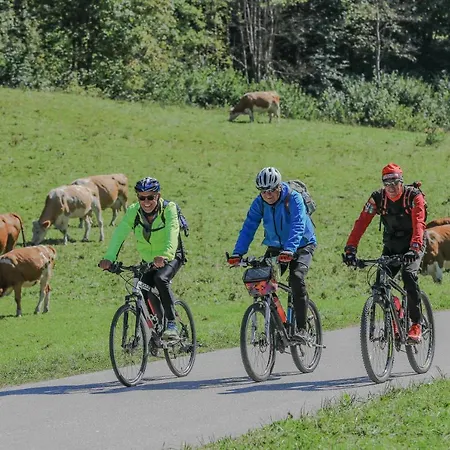 House Radovna Bled Holiday home