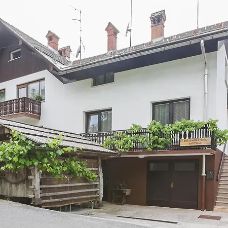 House Radovna Bled