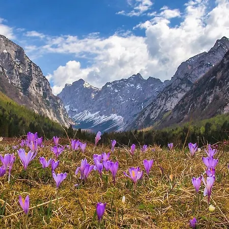 Holiday home House Radovna Bled