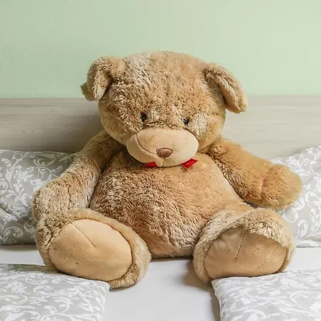 House Radovna Bled *