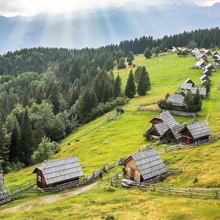 House Radovna Bled Holiday home *