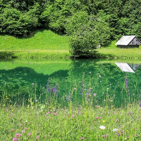 Holiday home House Radovna Bled *