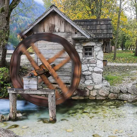 House Radovna Bled Casa vacanze