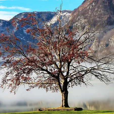 House Radovna Bled * Zgornje Gorje