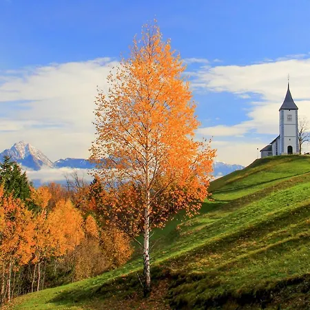 House Radovna Bled Zgornje Gorje