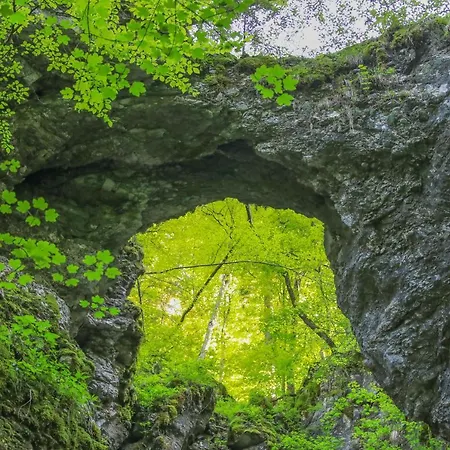 House Radovna Bled Holiday home *