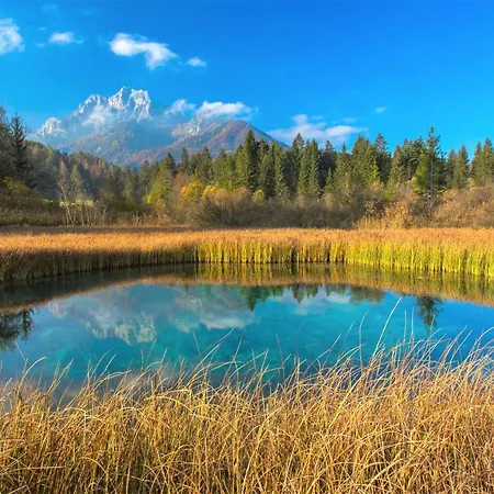 Holiday home House Radovna Bled Zgornje Gorje