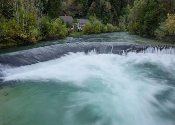 House Radovna Bled 度假居 *