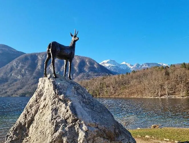 House Radovna Bled Zgornje Gorje