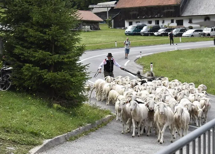 度假居 House Radovna Bled