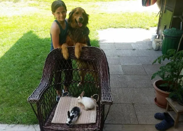 度假居 House Radovna Bled *