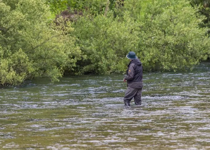 House Radovna Bled 度假居