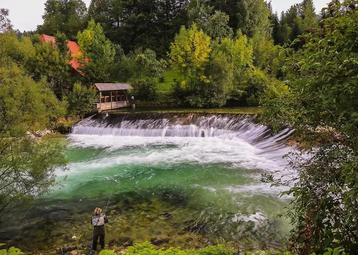 House Radovna Bled 度假居