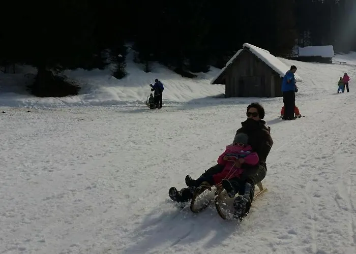 House Radovna Bled 度假居 *