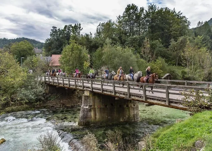 House Radovna Bled Zgornje Gorje