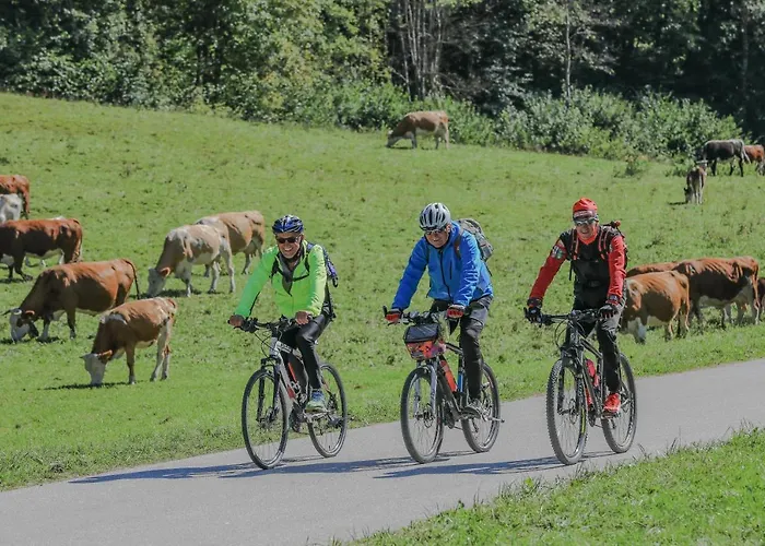 House Radovna Bled 度假居