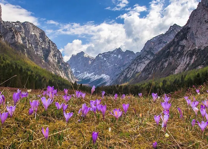 Vakantiehuis House Radovna Bled