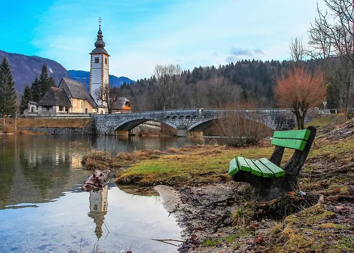 House Radovna Bled 度假居 *