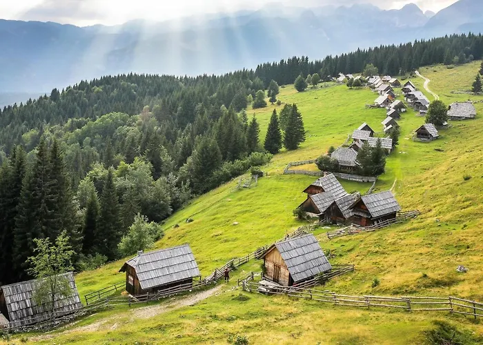 House Radovna Bled 度假居 *