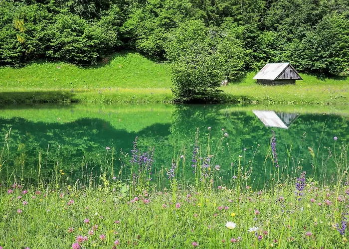 Vakantiehuis House Radovna Bled *