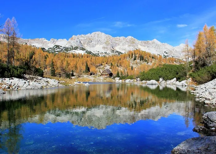 House Radovna Bled Zgornje Gorje