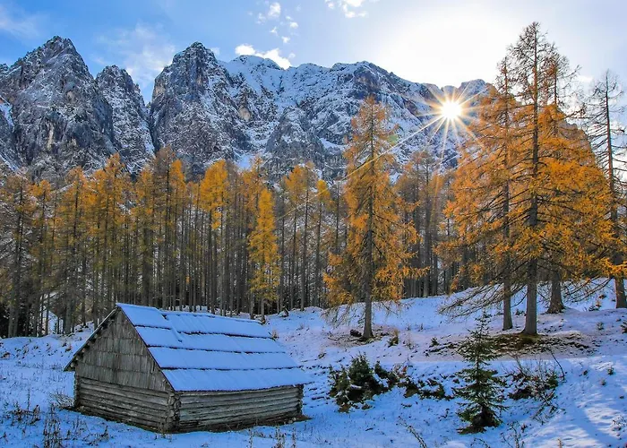 House Radovna Bled 度假居