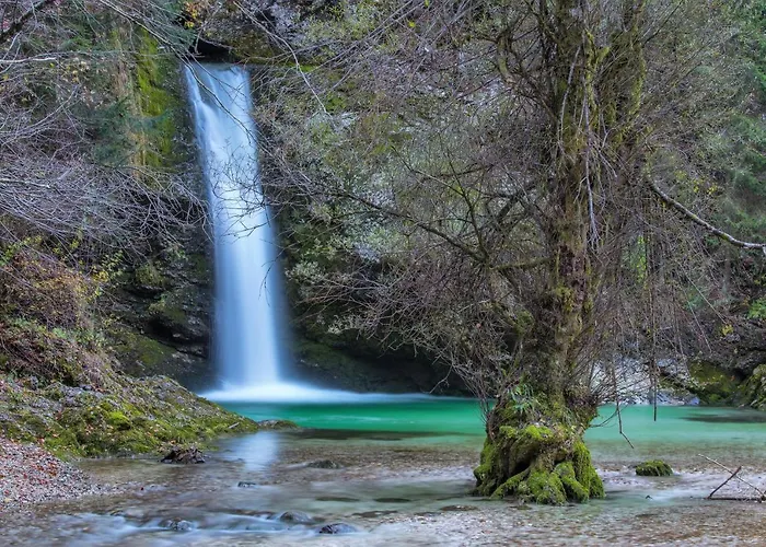 House Radovna Bled 度假居 Zgornje Gorje