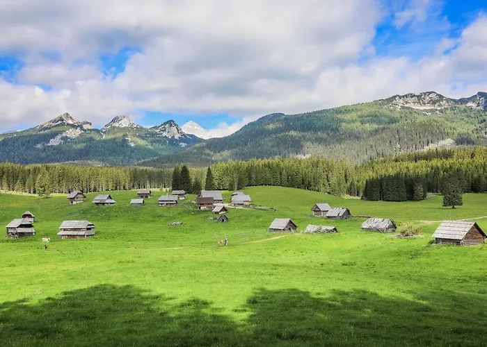 House Radovna Bled Zgornje Gorje