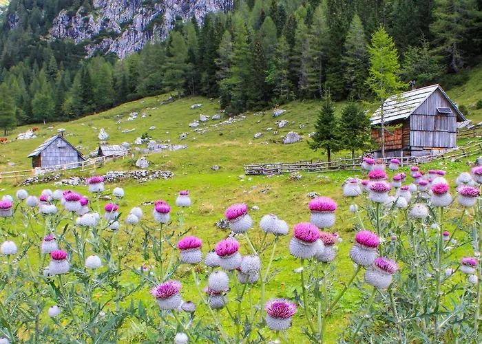 House Radovna Bled Vakantiehuis *