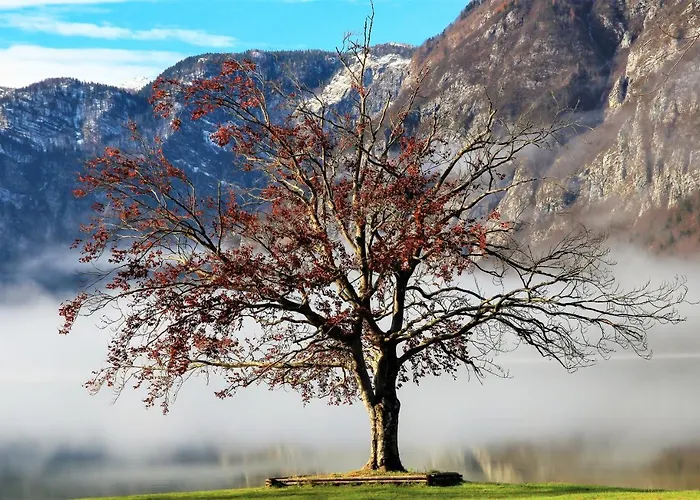 House Radovna Bled * Zgornje Gorje