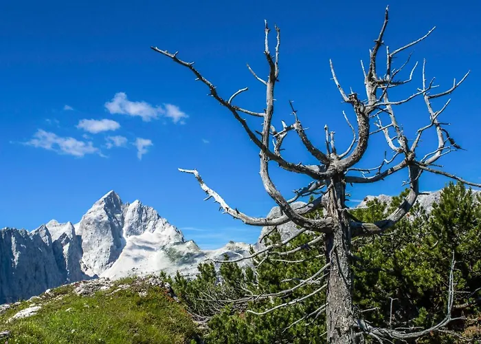 House Radovna Bled Vakantiehuis *