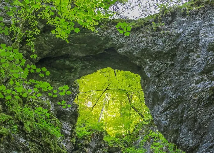 House Radovna Bled Vakantiehuis *