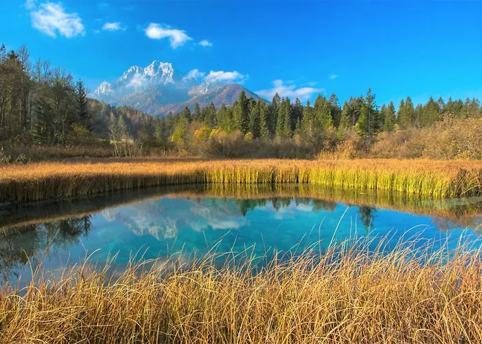 度假居 House Radovna Bled Zgornje Gorje